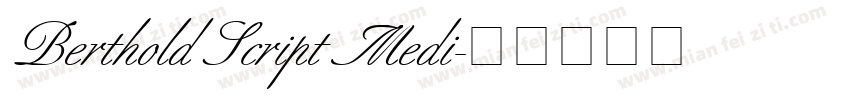 Berthold Script Medi字体转换